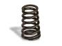 Image of Valve Spring. image for your Volvo S40  